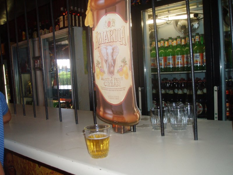 KeHa_in_South_Africa - 140